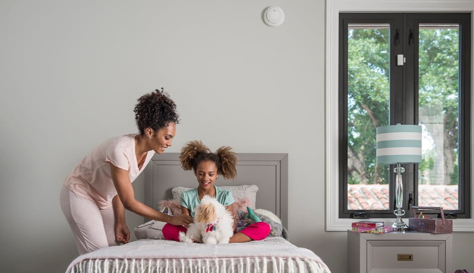 Boulder carbon monoxide detector